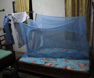 Bed with mosquito net